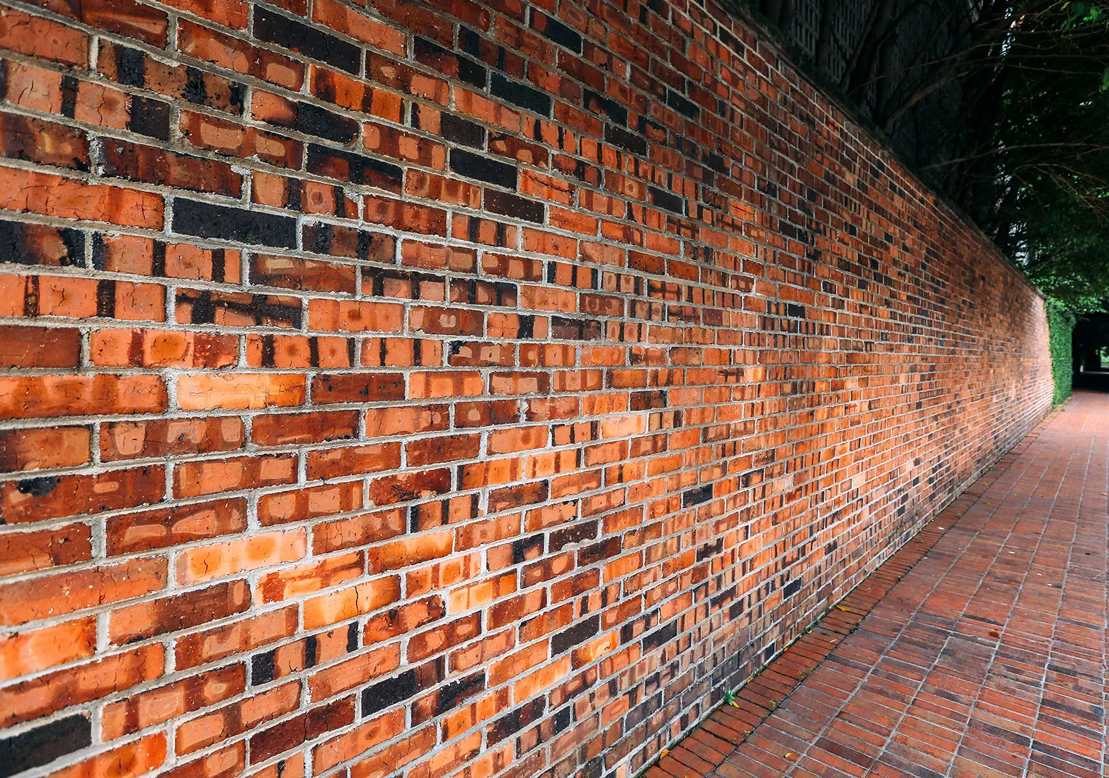 brick wall and stone path